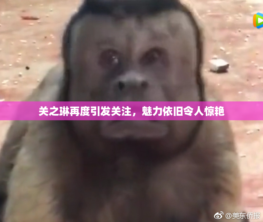 关之琳再度引发关注，魅力依旧令人惊艳