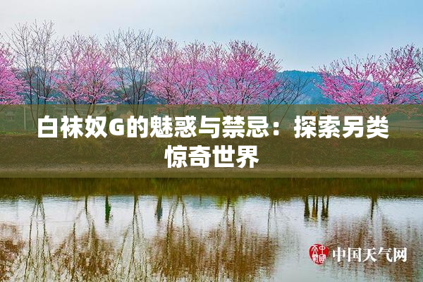 白袜奴G的魅惑与禁忌：探索另类惊奇世界