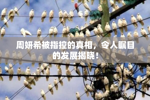 周妍希被指控的真相，令人瞩目的发展揭晓！