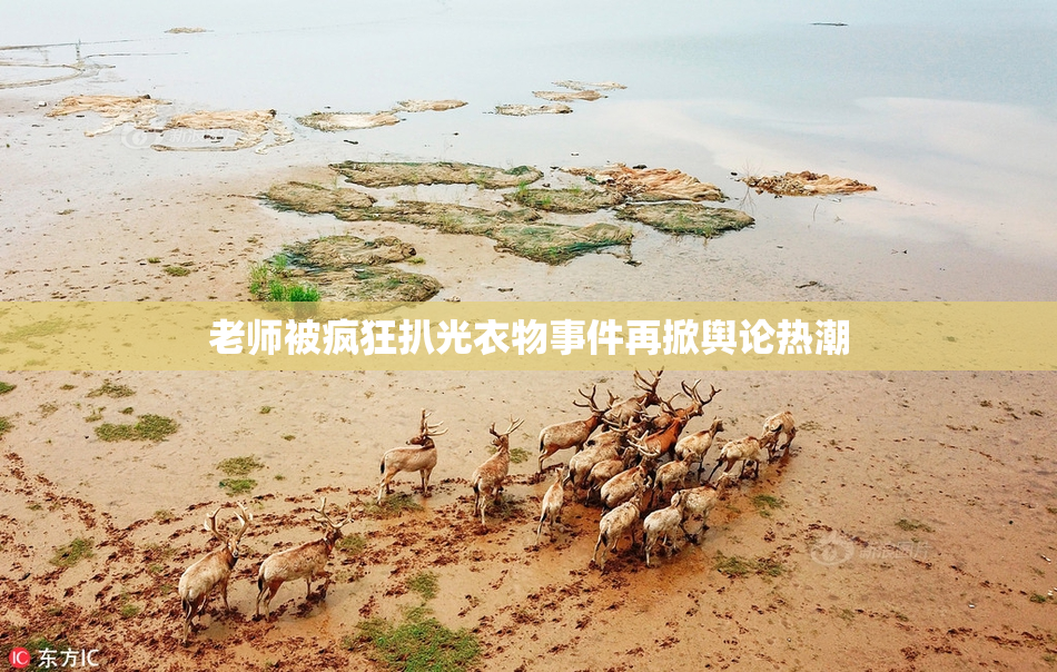 老师被疯狂扒光衣物事件再掀舆论热潮