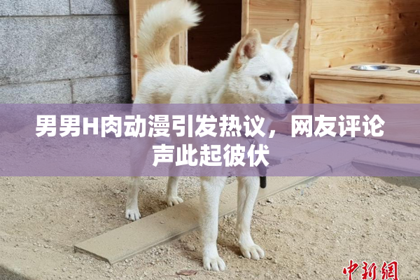 男男H肉动漫引发热议，网友评论声此起彼伏