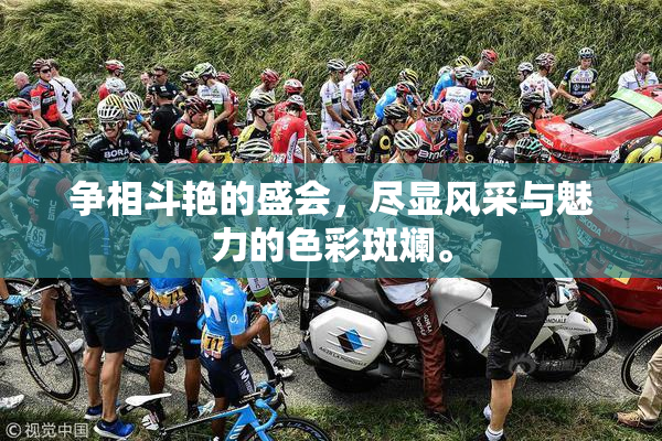 争相斗艳的盛会，尽显风采与魅力的色彩斑斓。