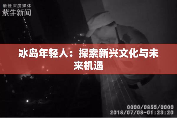 冰岛年轻人：探索新兴文化与未来机遇