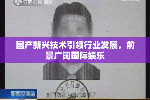 国产新兴技术引领行业发展，前景广阔国际娱乐