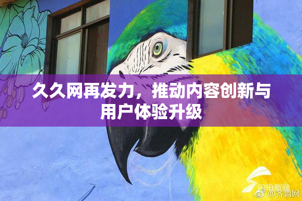 久久网再发力，推动内容创新与用户体验升级