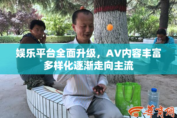 娱乐平台全面升级，AV内容丰富多样化逐渐走向主流