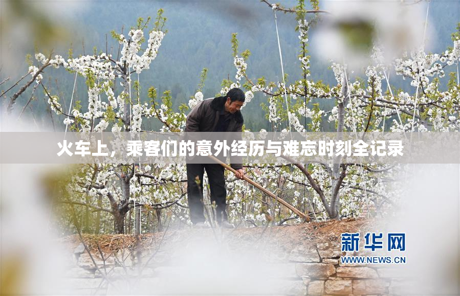 火车上，乘客们的意外经历与难忘时刻全记录