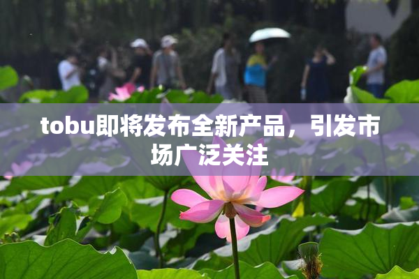 tobu即将发布全新产品，引发市场广泛关注