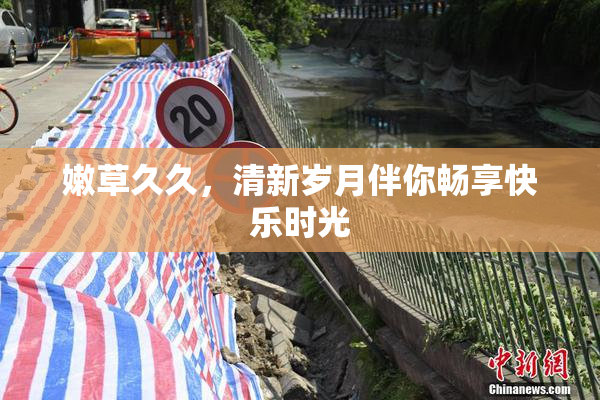 嫩草久久，清新岁月伴你畅享快乐时光