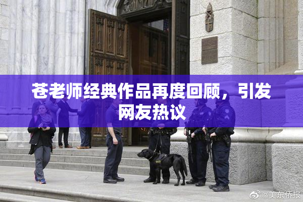 苍老师经典作品再度回顾，引发网友热议