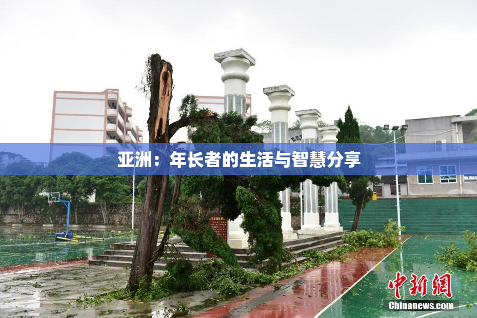 亚洲：年长者的生活与智慧分享