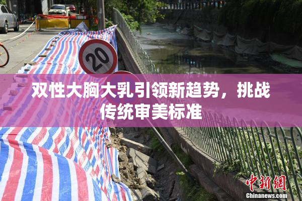 双性大胸大乳引领新趋势，挑战传统审美标准