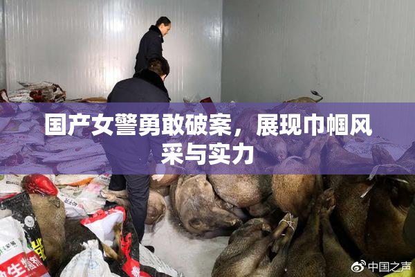 国产女警勇敢破案，展现巾帼风采与实力