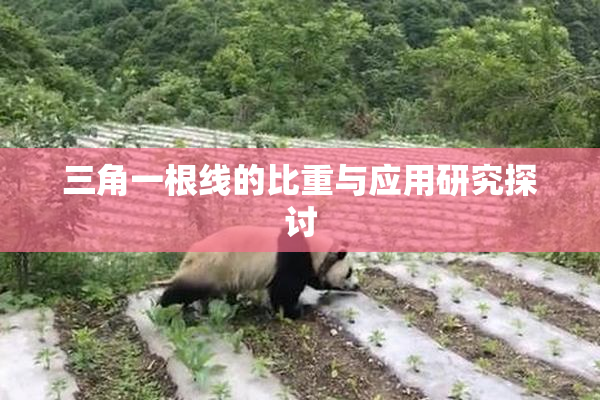 三角一根线的比重与应用研究探讨
