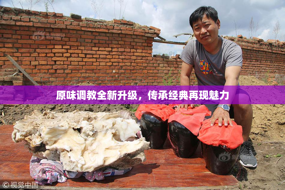 原味调教全新升级，传承经典再现魅力