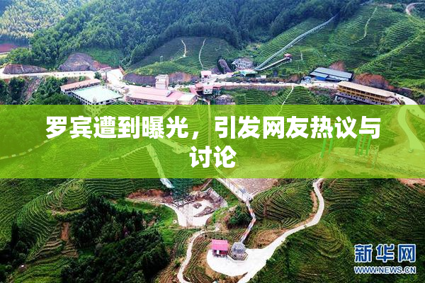 罗宾遭到曝光，引发网友热议与讨论