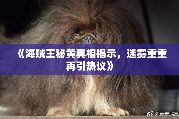 《海贼王秘黄真相揭示，迷雾重重再引热议》