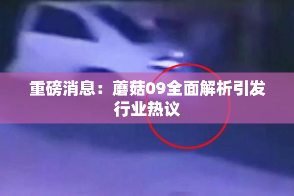 重磅消息：蘑菇09全面解析引发行业热议