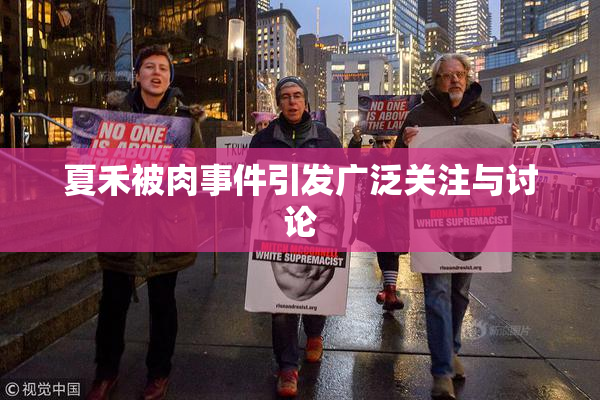 夏禾被肉事件引发广泛关注与讨论
