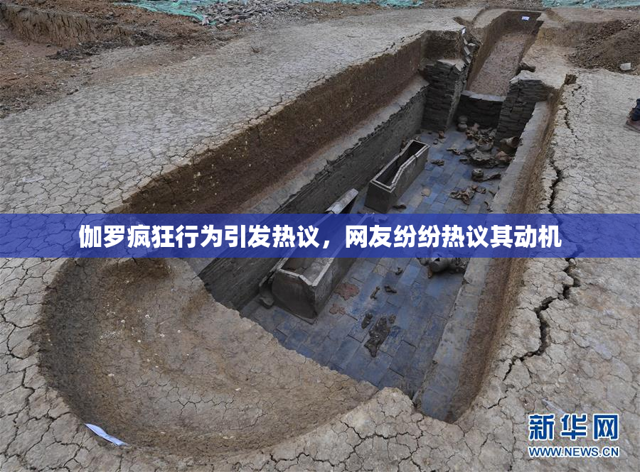 伽罗疯狂行为引发热议，网友纷纷热议其动机