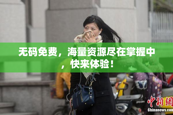 无码免费，海量资源尽在掌握中，快来体验！