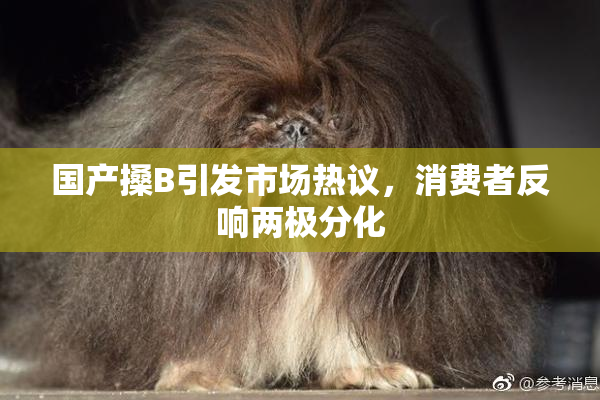 国产搡B引发市场热议，消费者反响两极分化