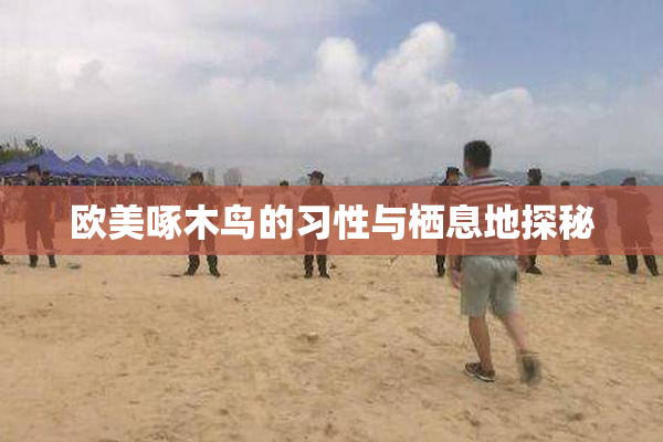 欧美啄木鸟的习性与栖息地探秘