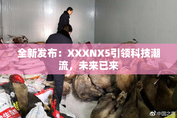 全新发布：XXXNX5引领科技潮流，未来已来