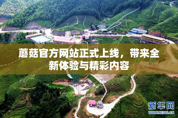 蘑菇官方网站正式上线，带来全新体验与精彩内容