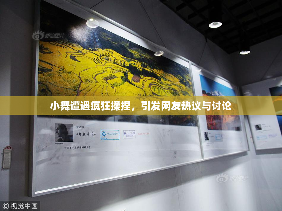 小舞遭遇疯狂揉捏，引发网友热议与讨论