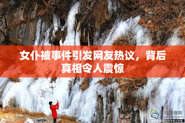 女仆被事件引发网友热议，背后真相令人震惊