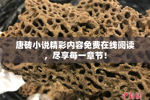 唐砖小说精彩内容免费在线阅读，尽享每一章节！