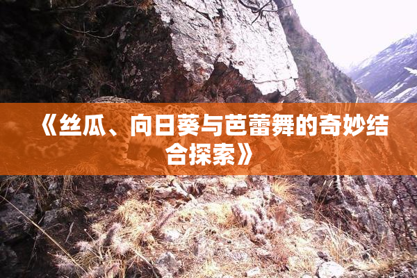 《丝瓜、向日葵与芭蕾舞的奇妙结合探索》