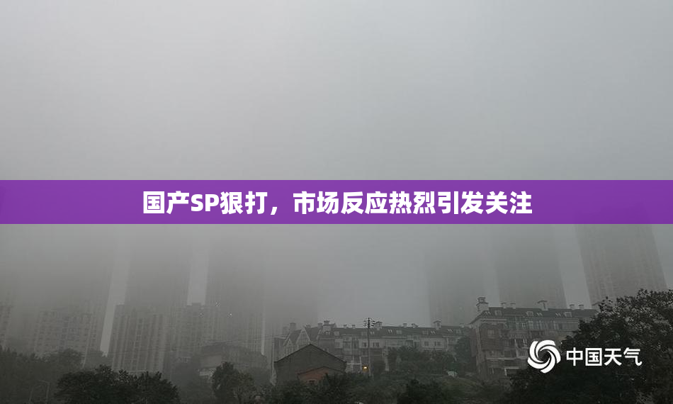 国产SP狠打，市场反应热烈引发关注