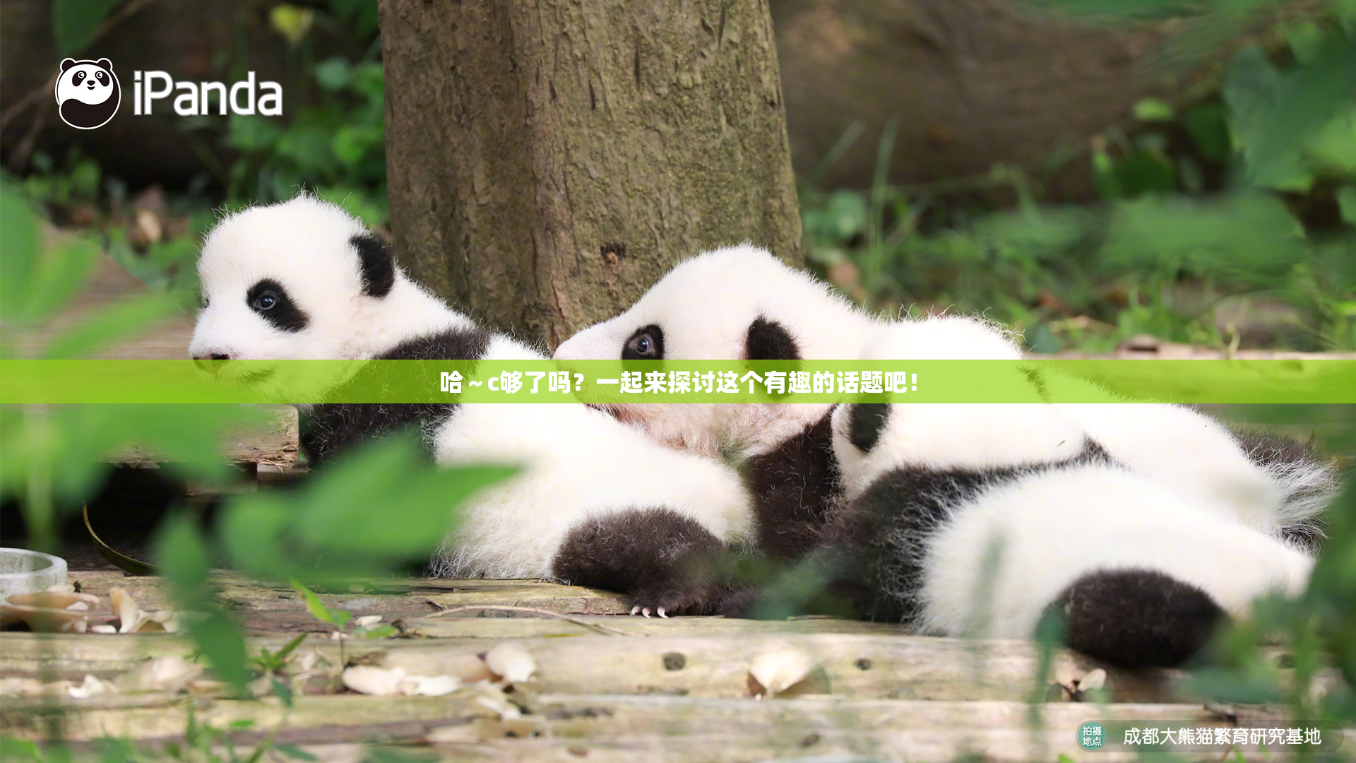 哈～c够了吗？一起来探讨这个有趣的话题吧！
