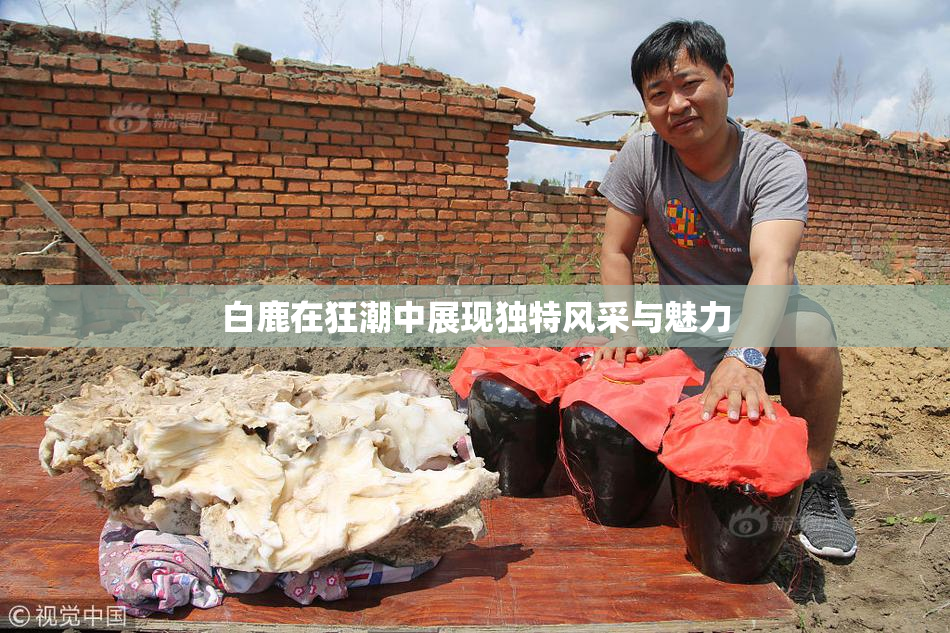 白鹿在狂潮中展现独特风采与魅力