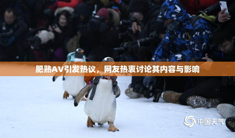 肥熟AV引发热议，网友热衷讨论其内容与影响