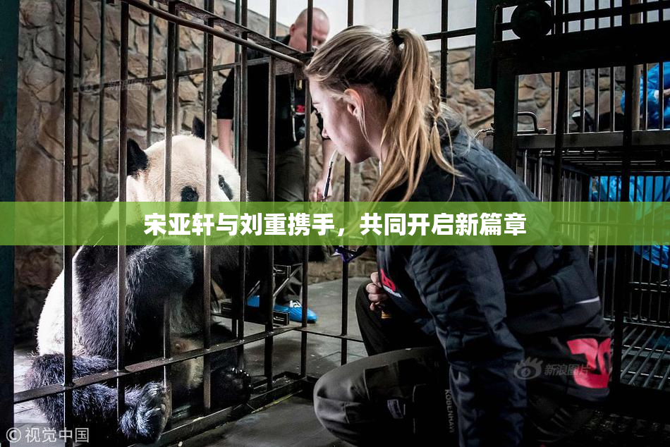 宋亚轩与刘重携手，共同开启新篇章