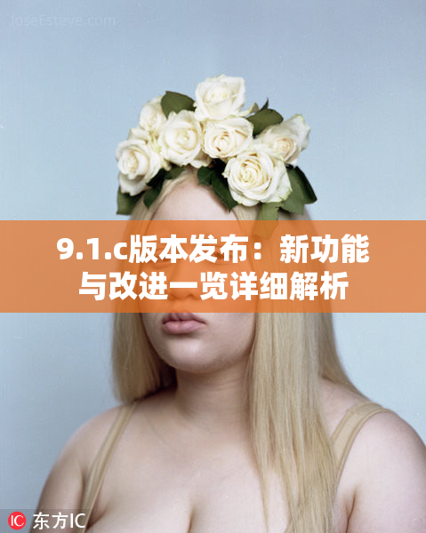 9.1.c版本发布：新功能与改进一览详细解析