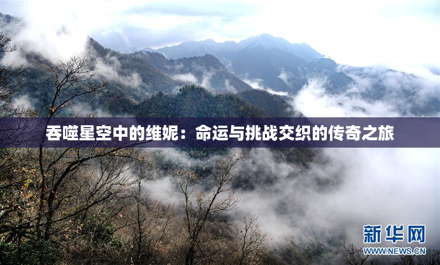 吞噬星空中的维妮：命运与挑战交织的传奇之旅