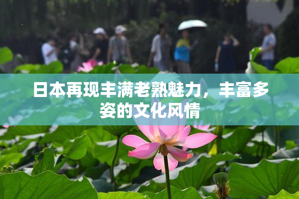 日本再现丰满老熟魅力，丰富多姿的文化风情