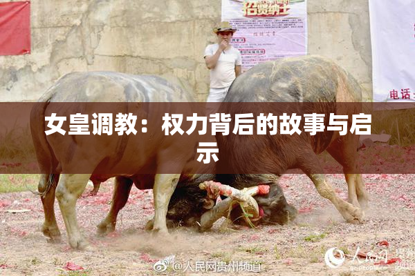 女皇调教：权力背后的故事与启示