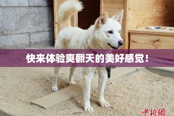 快来体验爽翻天的美好感觉！