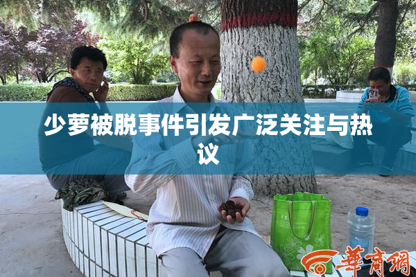 少萝被脱事件引发广泛关注与热议