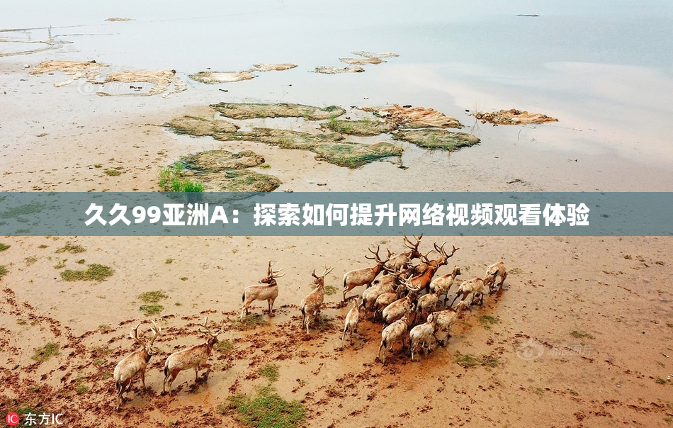 久久99亚洲A：探索如何提升网络视频观看体验