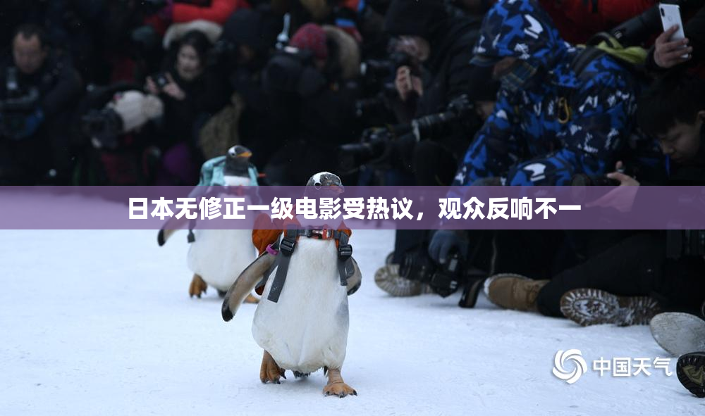 日本无修正一级电影受热议，观众反响不一