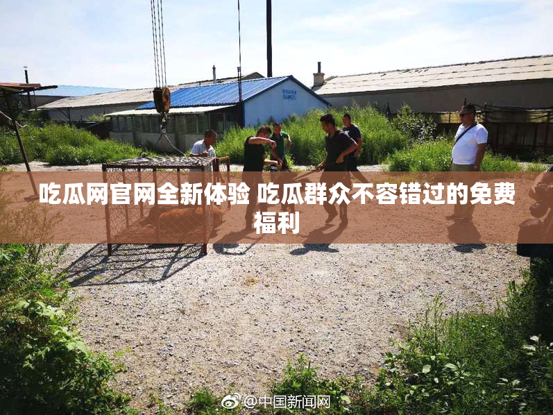 吃瓜网官网全新体验 吃瓜群众不容错过的免费福利