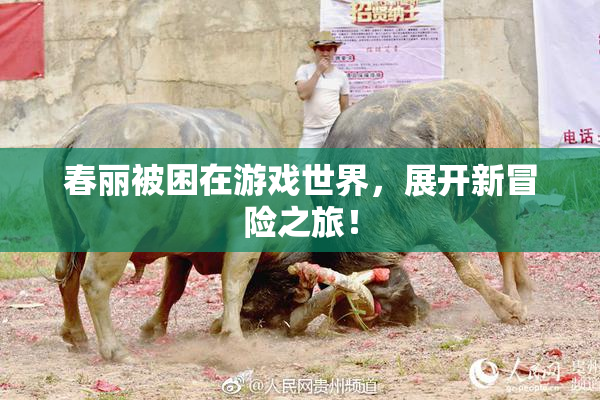 春丽被困在游戏世界，展开新冒险之旅！