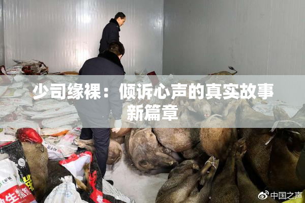 少司缘裸：倾诉心声的真实故事新篇章
