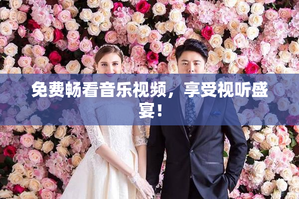 免费畅看音乐视频，享受视听盛宴！